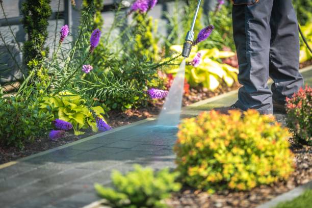 Reliable Quincy, CA  Pressure Washing Services Solutions